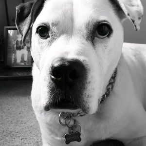 Meet your Posher, Kim